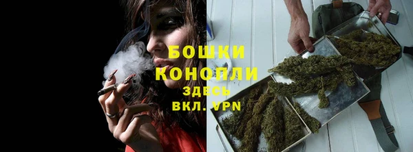 прущие крисы Карпинск