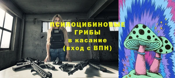 прущие крисы Карпинск