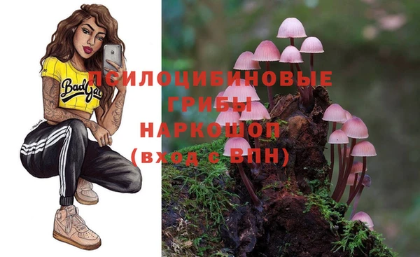 прущие крисы Карпинск