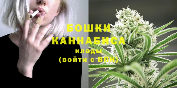 прущие крисы Карпинск