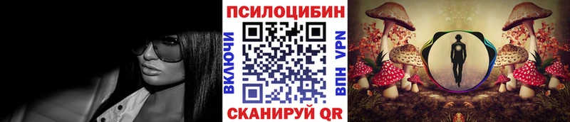 Купить где  Когалым  Галлюциногенные грибы Psilocybe 